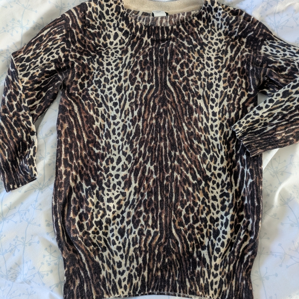 J. Crew Meriono Wool Crewneck Sweater